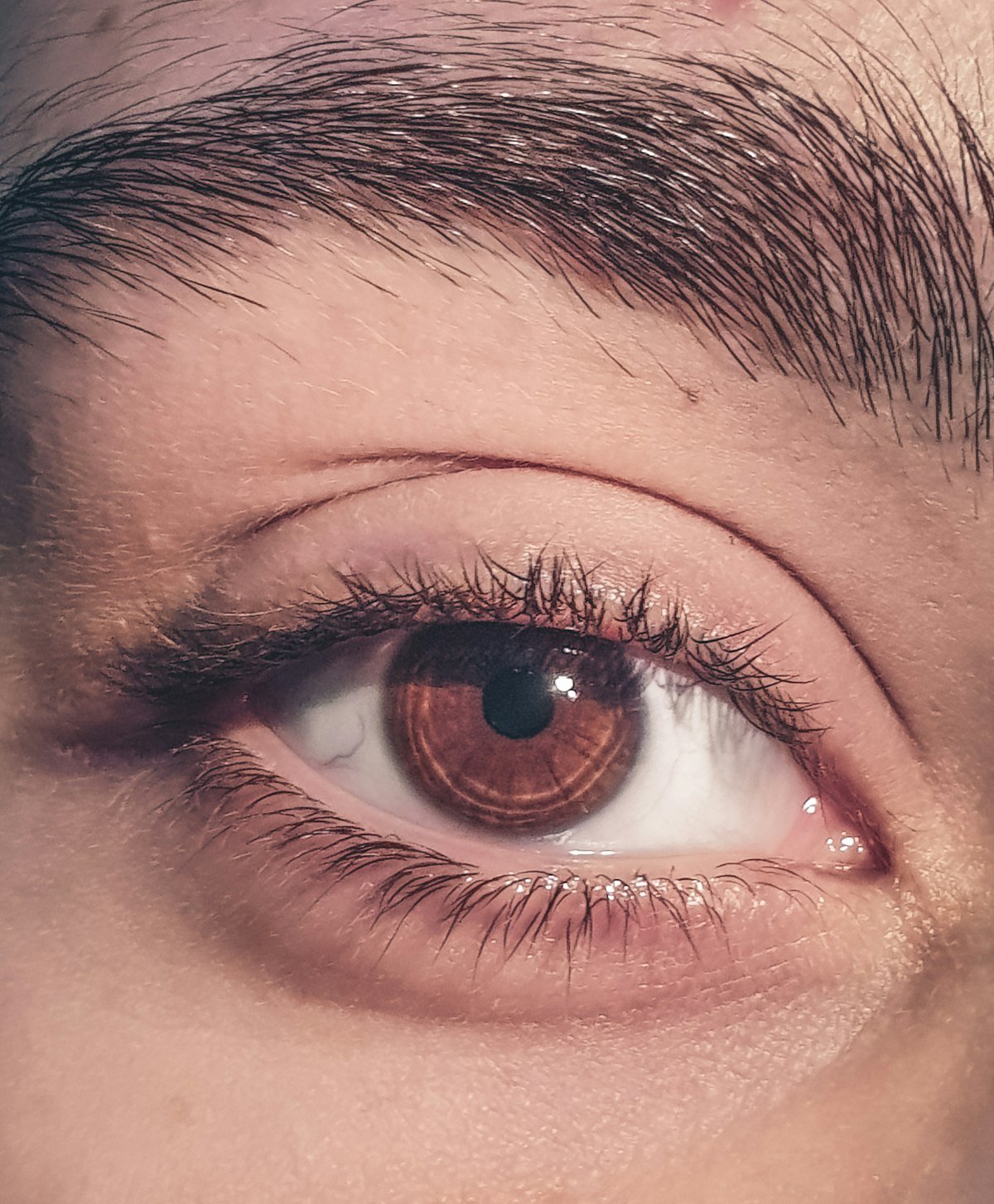 Sourcil dense et structuré