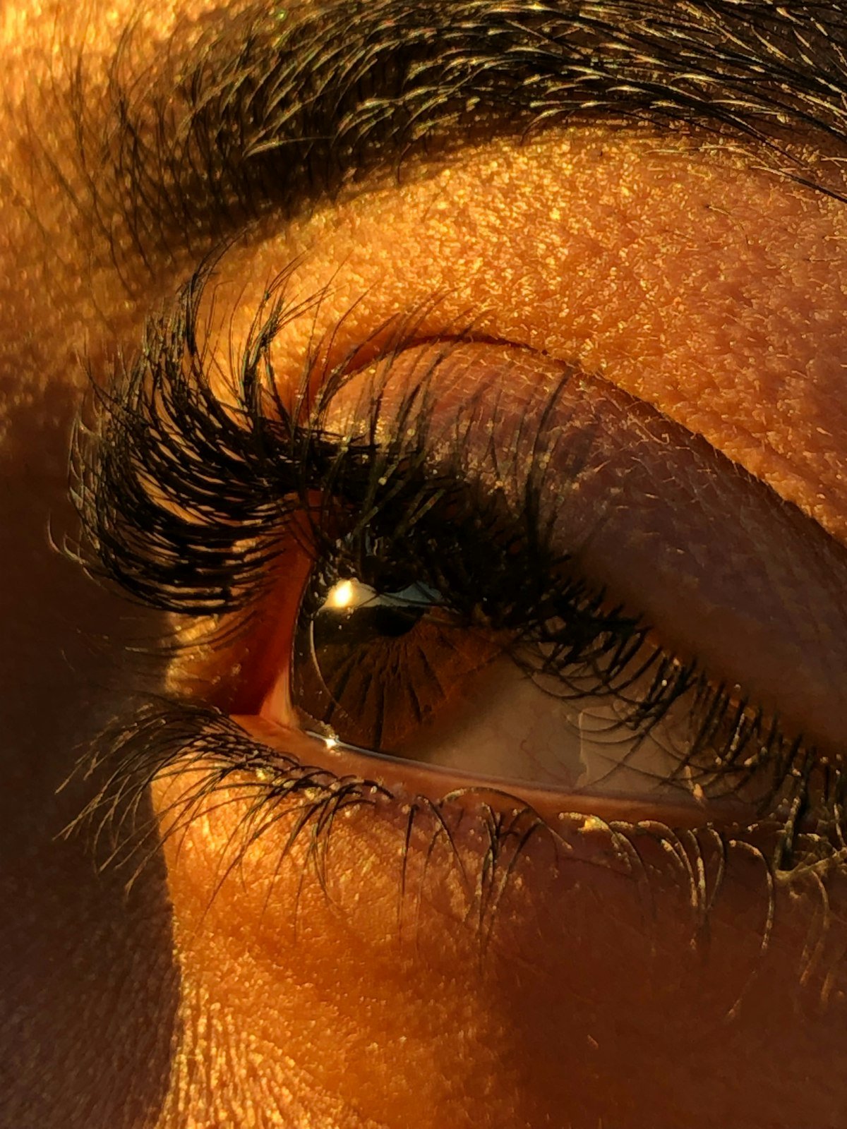 Cils rehaussés dans une lumière dorée